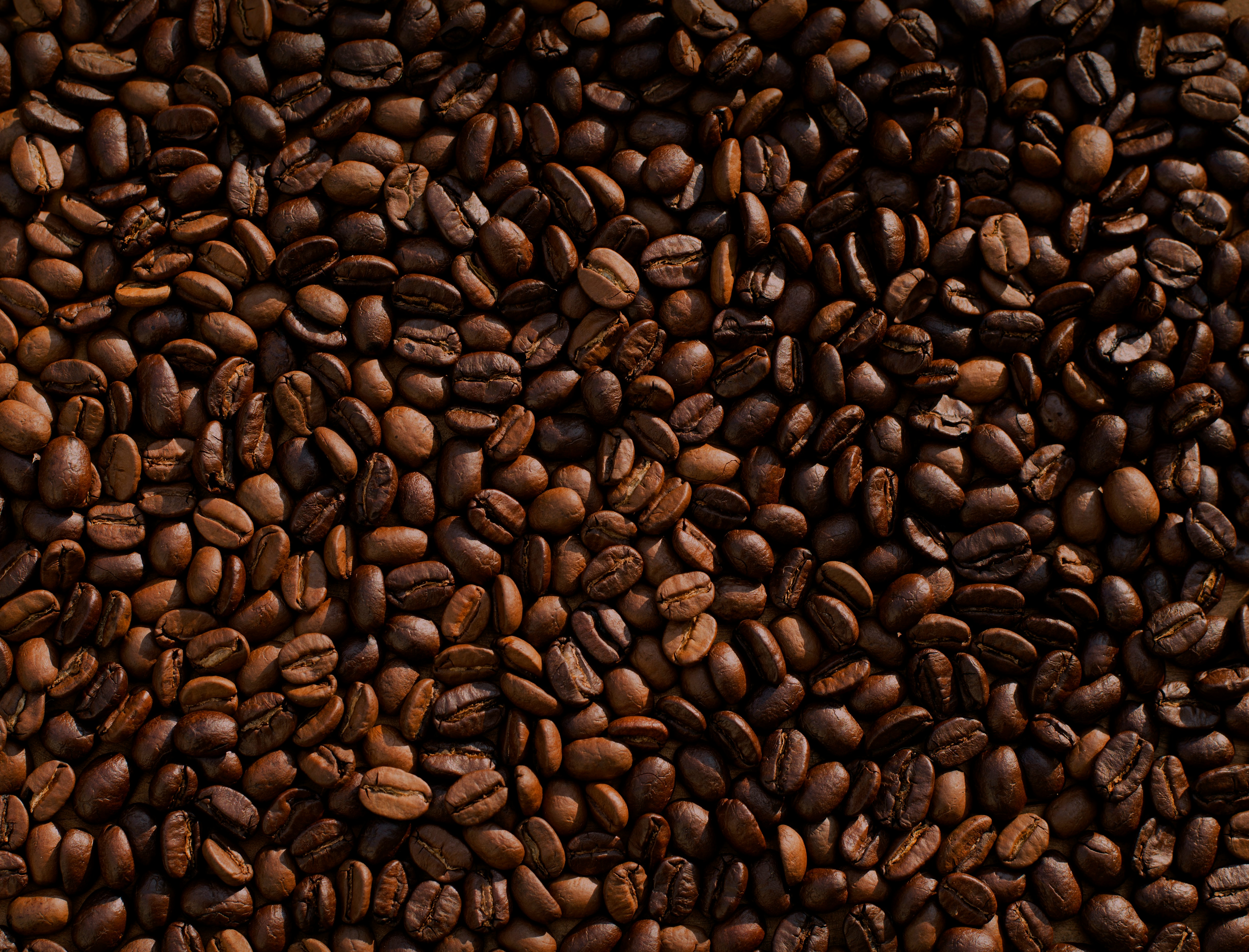 grãos de cafe